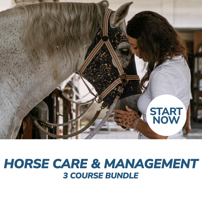 Horse Care and Management Online Bundle, 3 Certificate Courses