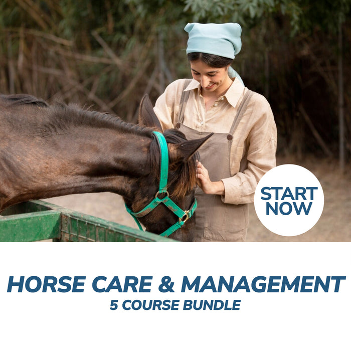 Horse Care and Management Online Bundle, 5 Certificate Courses