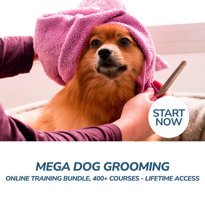 Mega Dog Grooming Online Training Bundle, 400+ Courses - Lifetime Access