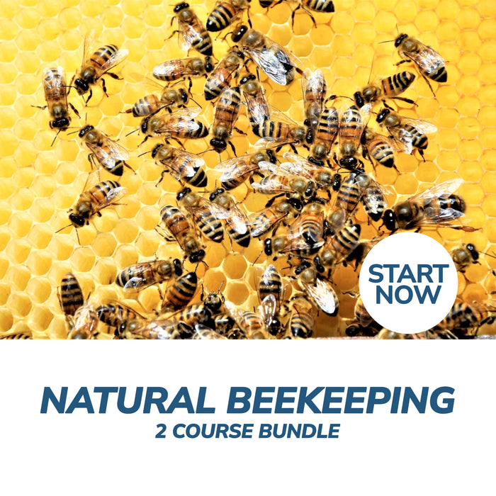Natural Beekeeping Online Bundle, 2 Certificate Courses