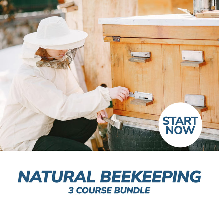 Natural Beekeeping Online Bundle, 3 Certificate Courses
