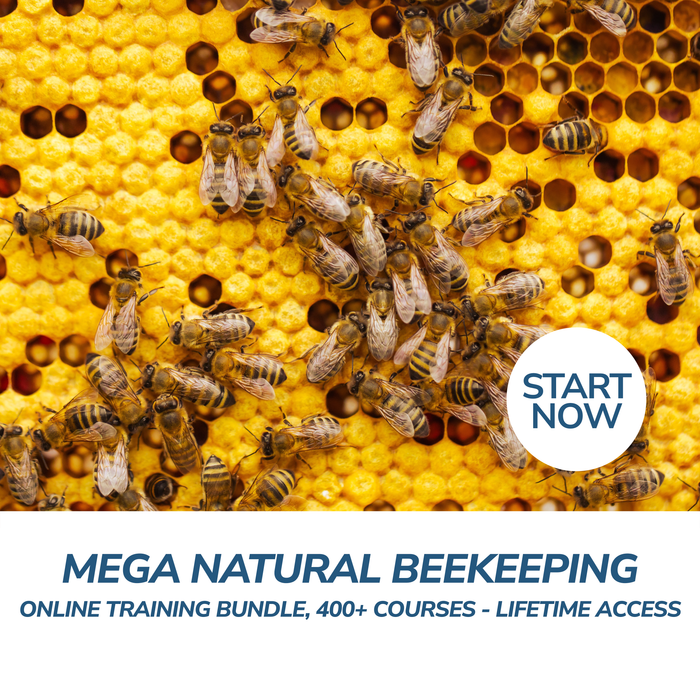 Mega Natural Beekeeping Online Training Bundle, 400+ Courses - Lifetime Access