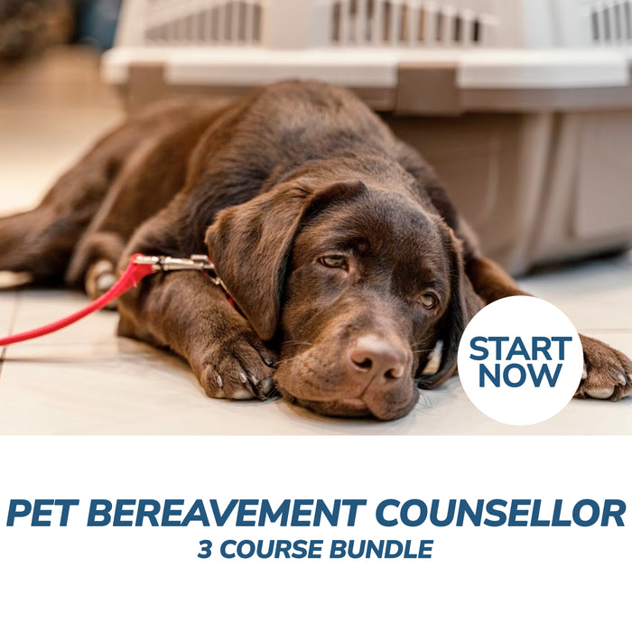 Pet Bereavement Counsellor Online Bundle, 3 Certificate Courses