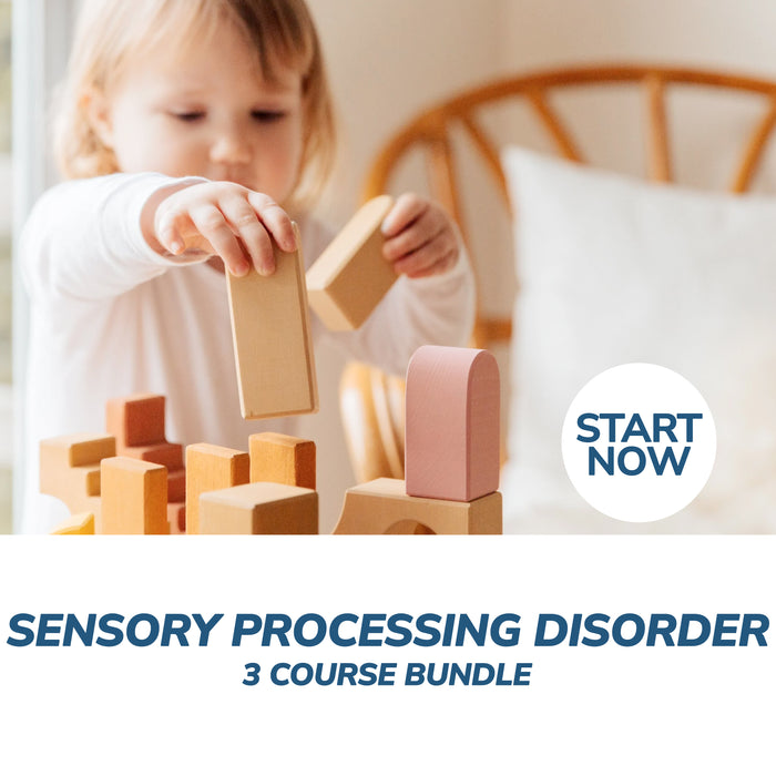 Sensory Processing Disorder Awareness Online Bundle, 3 Certificate Courses