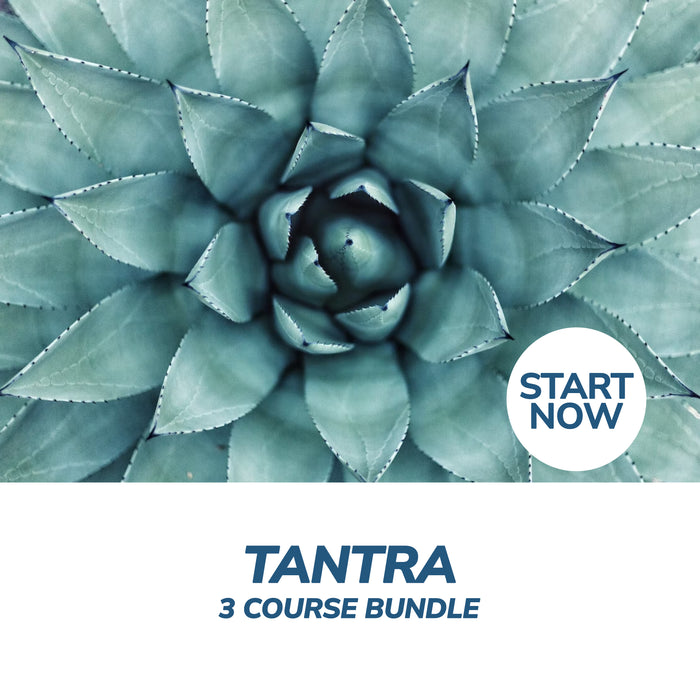 Tantra Online Bundle, 3 Certificate Courses