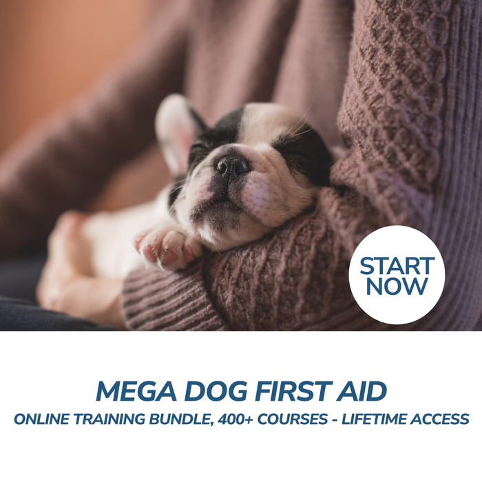 Mega Dog First Aid Online Training Bundle, 400+ Courses - Lifetime Access